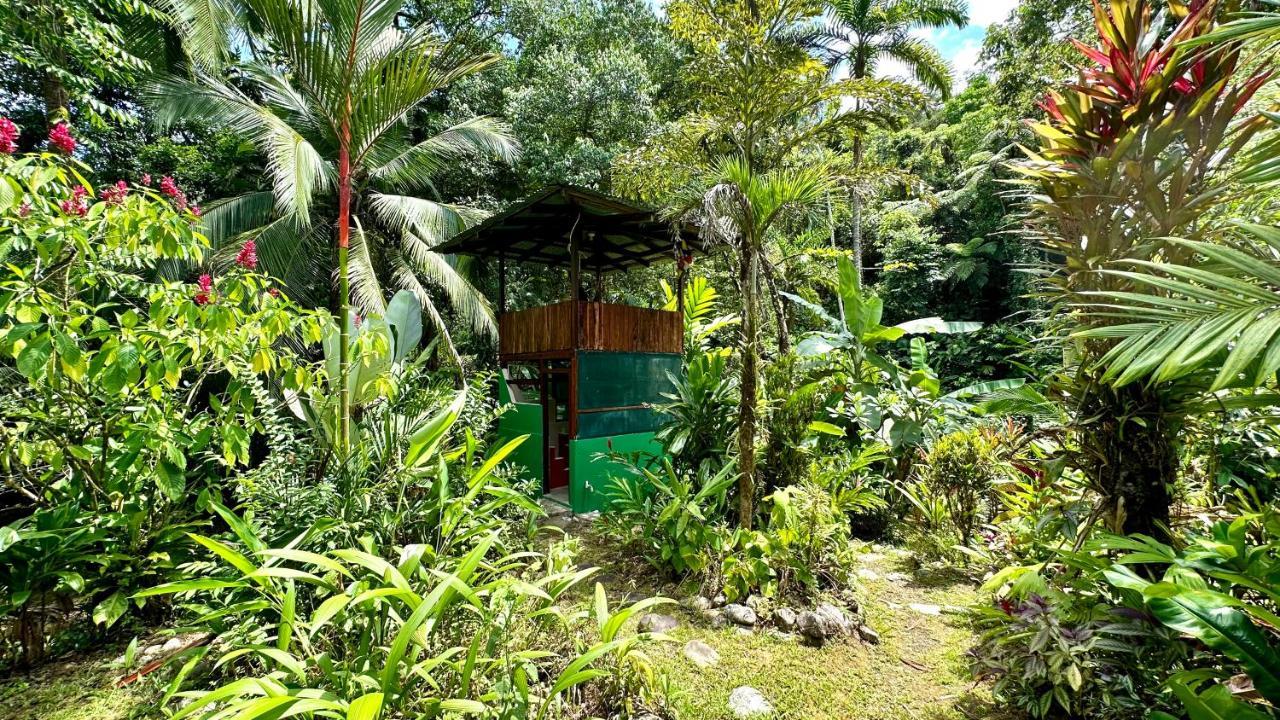 Casa Aire Libre Puerto Jiménez Exterior foto